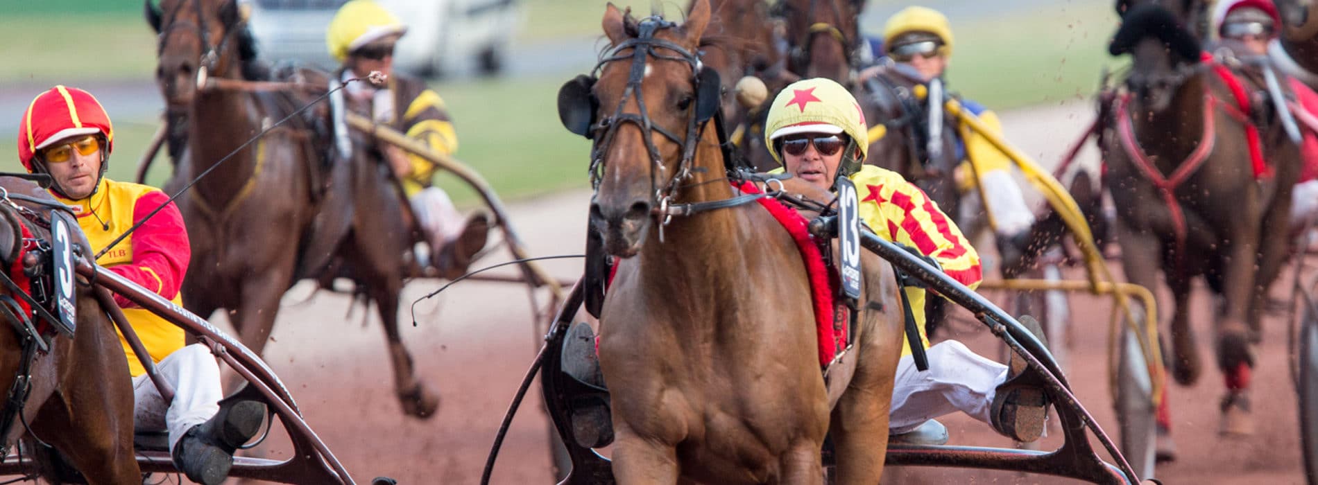 Cheval et jockey pendant une course hippique dans le Calvados