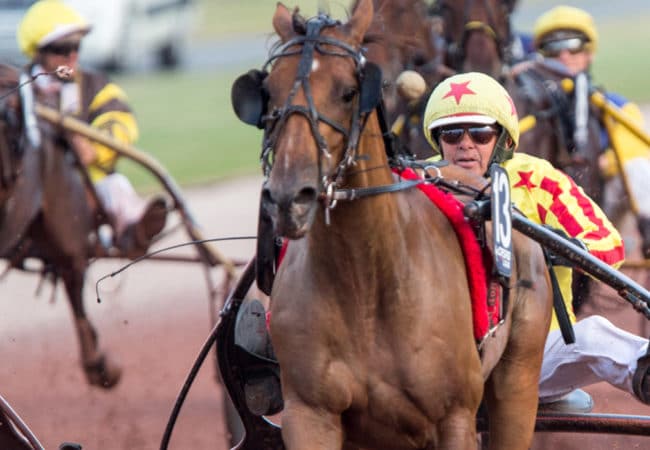 Cheval et jockey pendant une course hippique dans le Calvados