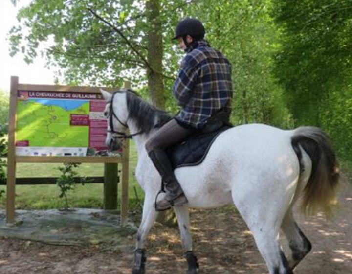 Cavalier à cheval