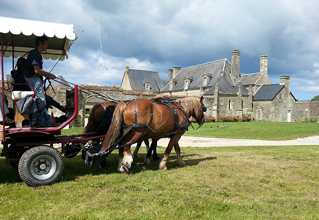 Attelage dans le Calvados