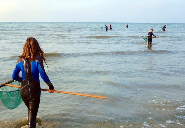 Enfants en plein pêche à pieds dans le Calvados en Normandie