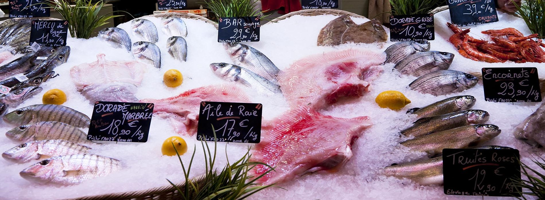 Etal de poissons frais au marché