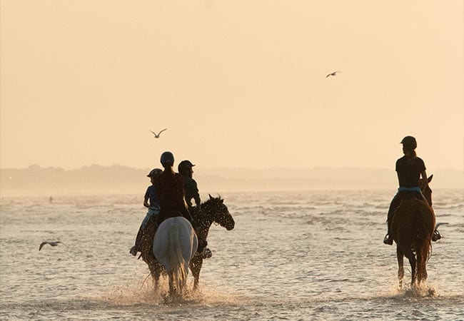 Cavaliers en balade à cheval sur la plage de Cabourg