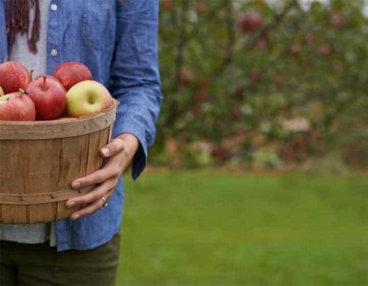 Jeune personne tenant un panier de pommes