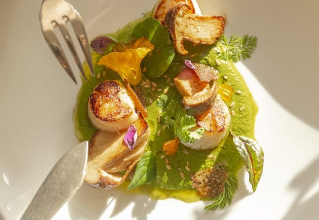 La Coquille Saint Jacques Star De Normandie Calvados Tourisme