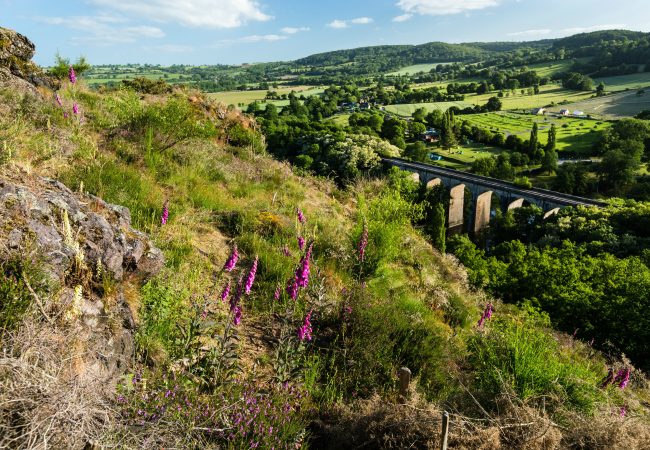 Paysage de Suisse Normande