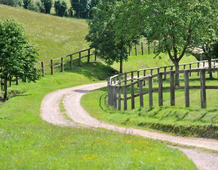 Chemin qui serpente dans le Pays d'Auge