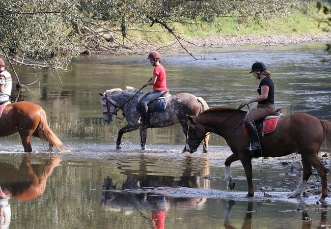 Balades à cheval