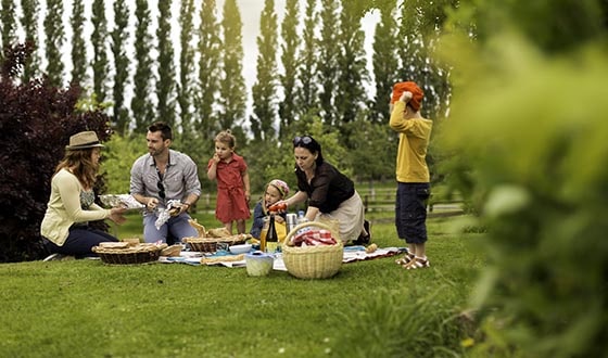 Pique-nique avec les enfants dans l'herbe