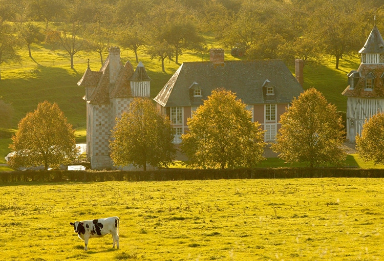 Château dans la campagne normande