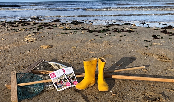 Des bottes et des épuisettes sur le sable à la plage