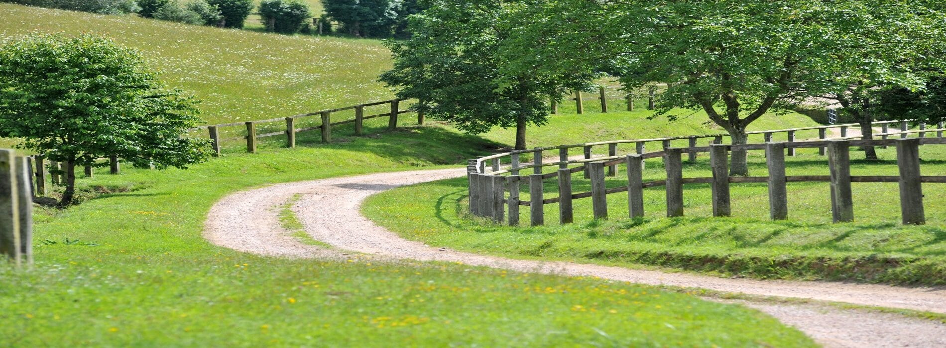 petite route de campagne avec virage