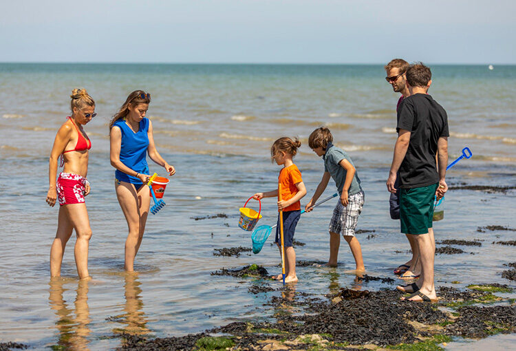 Des couples et leurs enfants en faisant de la pêche à marée basse