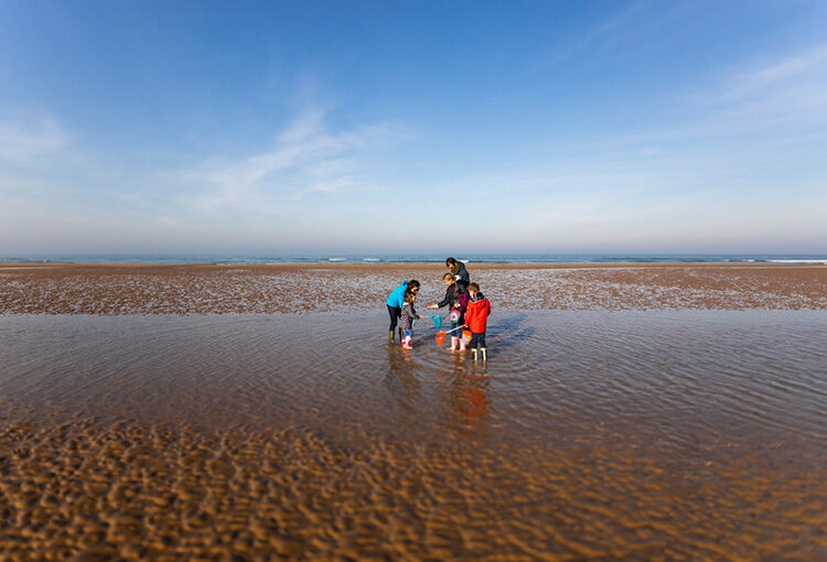 Un couple et ses enfants à la pêche à marée basse
