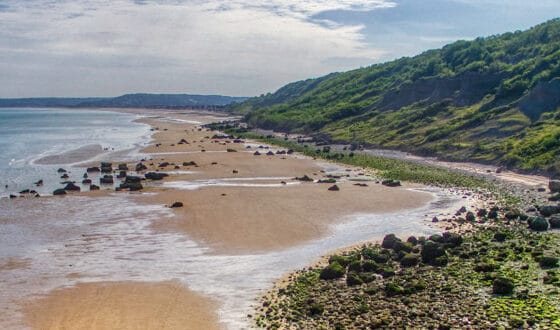 Plage et falaise verdoyante