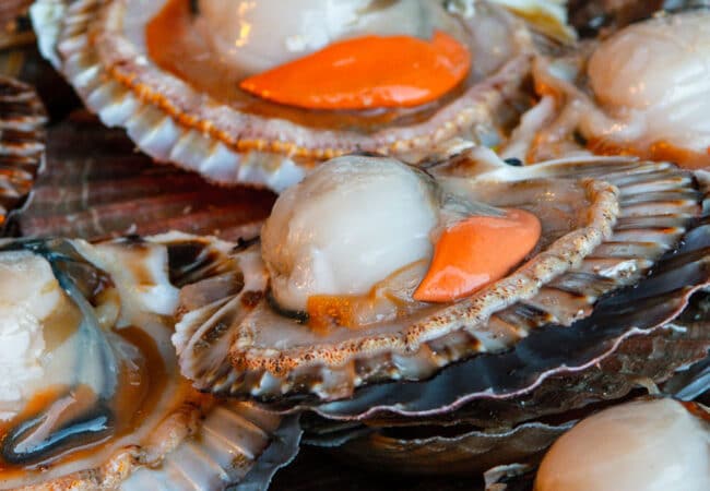 Coquilles saint-jacques ouvertes