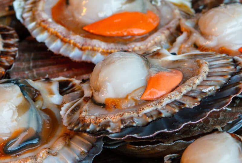 Coquilles saint-jacques ouvertes