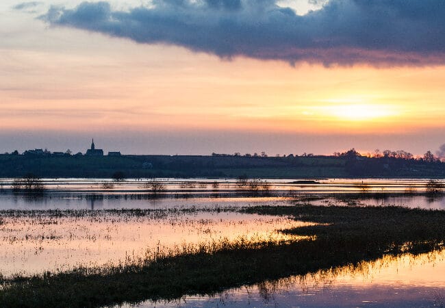 marais et coucher de soleil