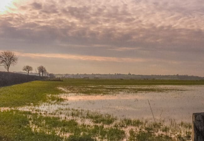 marais du Bessin