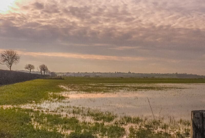 marais du Bessin