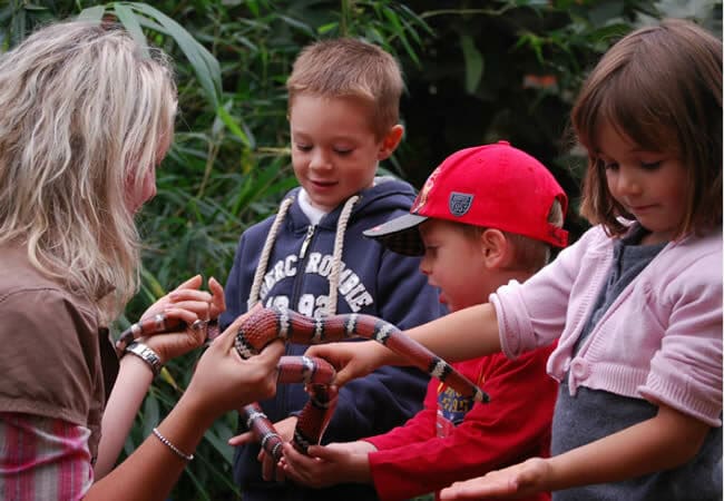 Les enfants et le serpent