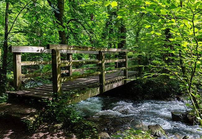 Petit pont de bois pour traverser la rivière dans l'espace naturel sensible de la Brèche au Diable
