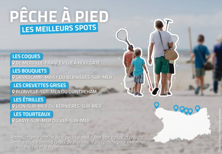 Pêche à pied dans le Calvados