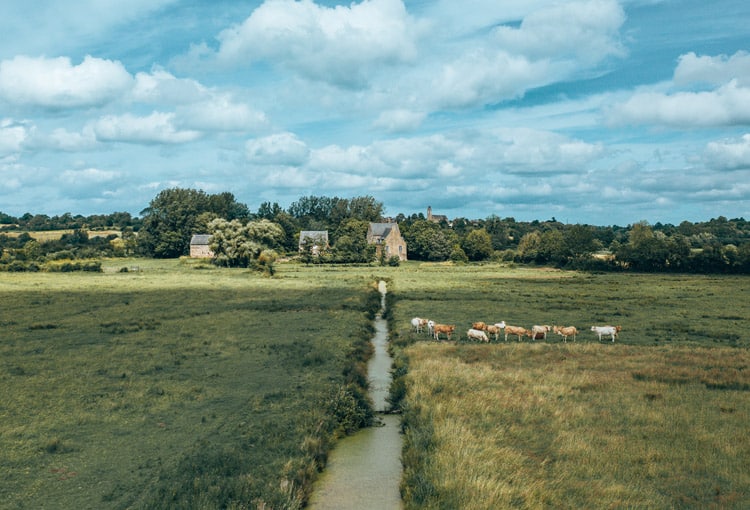 Marais du Bessin